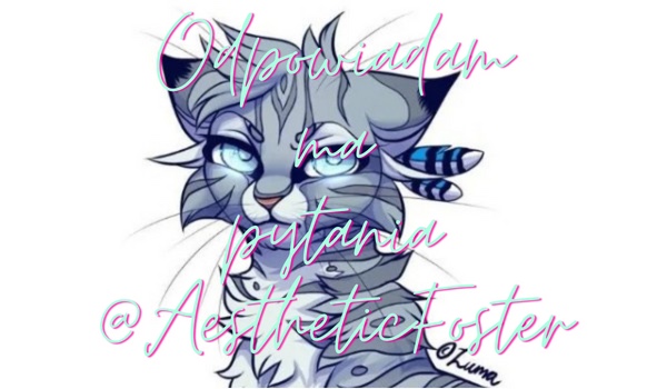 Odpowiadam na pytania @AestheticFoster