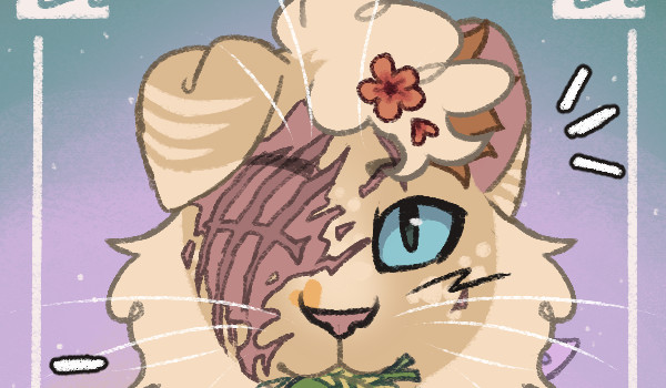 Kilka Obserwatorów jako koty