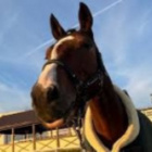 HP.xXMemus__MasterusXx