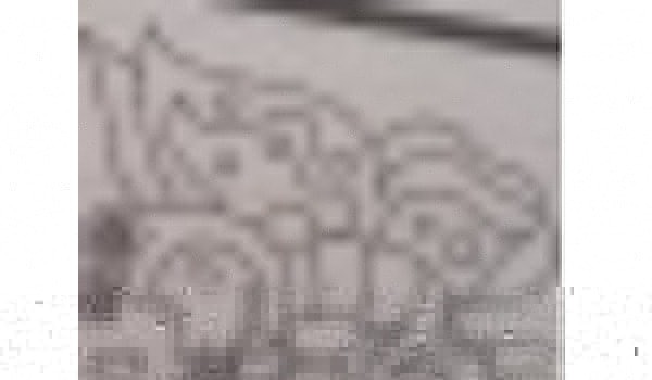 Polecam Paszteciorka