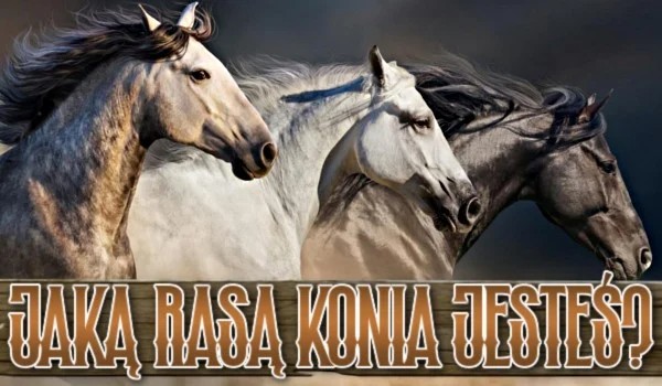 Jaką rasą konia jesteś? Quiz dla koniarzy!