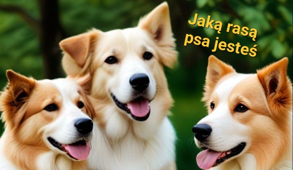 Jaką rasą psa jesteś część 2