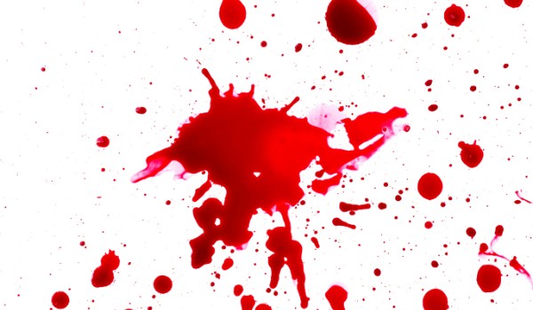 Stary gołębiarz 9#