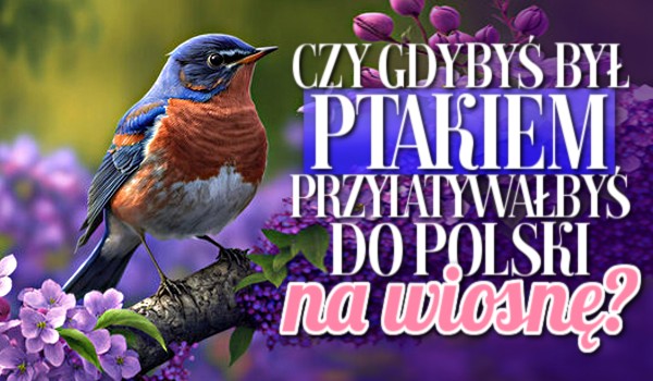 Czy gdybyś był ptakiem, przylatywałbyś do Polski na wiosnę?