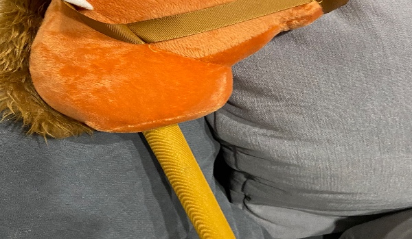 Konie i ja – rozdział 4