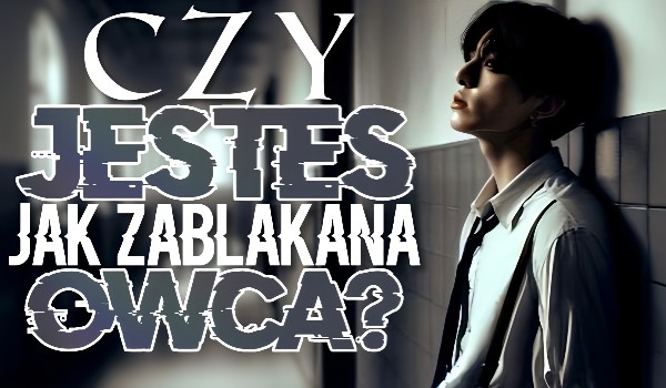 Czy jesteś jak zabłąkana owca?