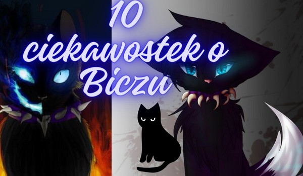 10 ciekawostek o Biczu