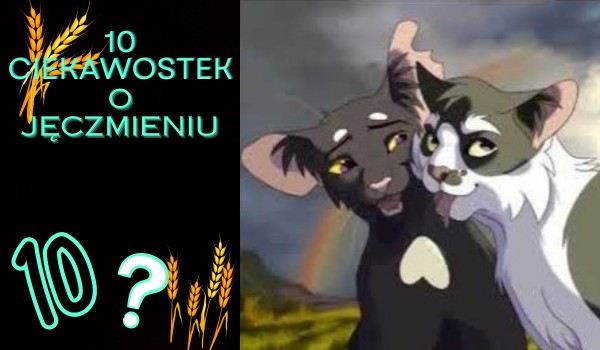 10 Ciekawostek o Jęczmieniu