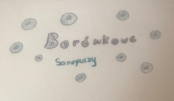 Borówkowe samequizy • Moje dawne przemyślenia na temat SQ