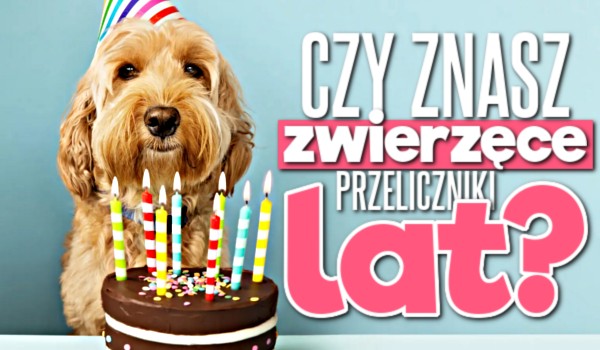 Znasz zwierzęce przeliczniki lat?