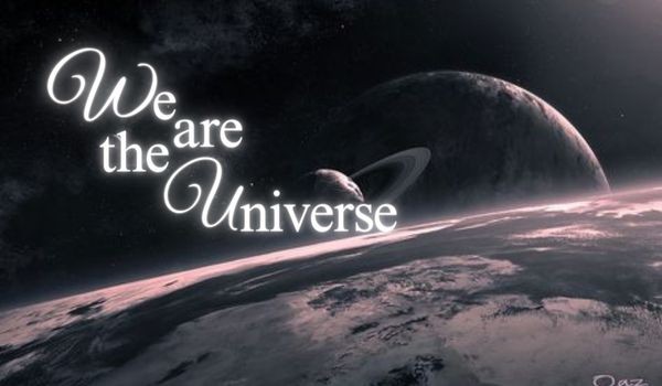 We are the Universe