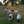 Fp.Cottagecore.pl
