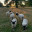 Fp.Cottagecore.pl
