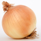 onionmulti332