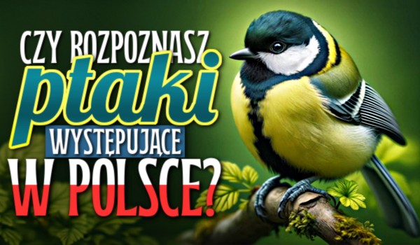 Czy rozpoznasz ptaki występujące w Polsce?