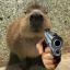 .Kapibara.Z.Rosji.