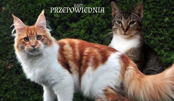 PRZEPOWIEDNIA – rozdział 2