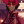 Alastor1