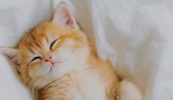 •Zagubiony Samotnik• Rozdział 5