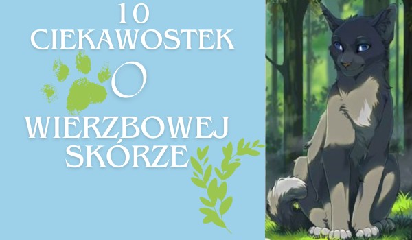 10 Ciekawostek o Wierzbowej Skórze