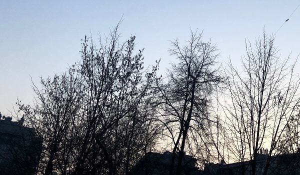 Złamane zasady cze.2