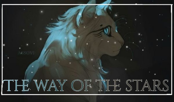 ~The way of the stars~ |One Shot|