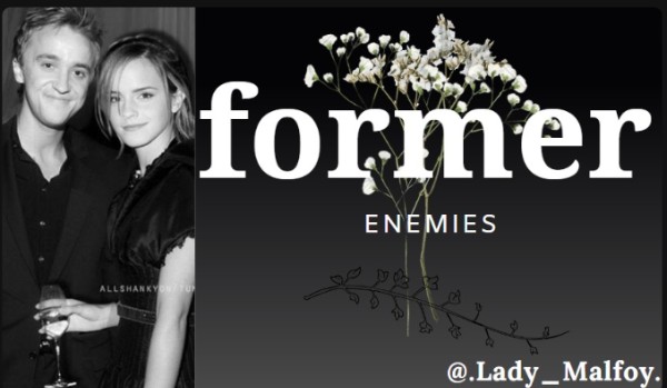 Former Enemies |Chapter eight