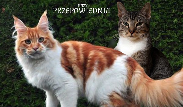PRZEPOWIEDNIA – rozdział 12
