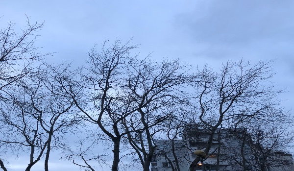 Złamana zasady cze.4