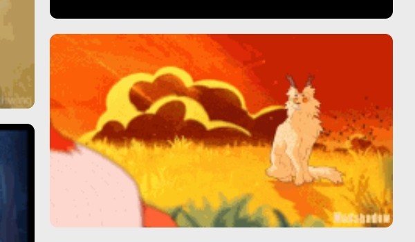 Głosowanie o wojownikach!