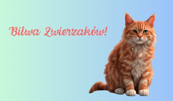 Bitwa Zwierzaków – zapisy zamknięte