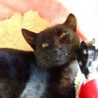 xAmiPlanetYoutubex._.Fankax