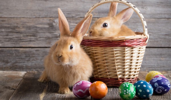 Wielkanocny quiz dla klas 4.