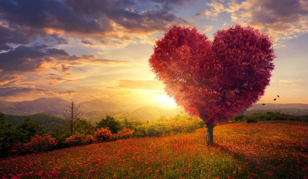 Ocenianie profilu @siemkatuktosiek_oficial