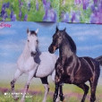lovehorses