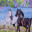 lovehorses