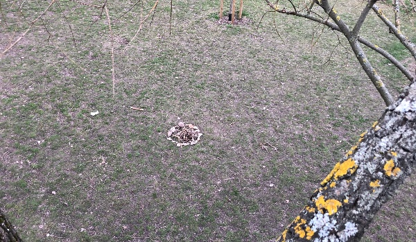 Złamane zasady cze.6