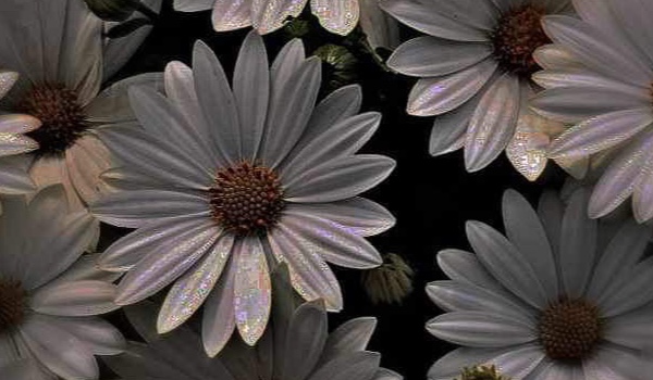 Głosowanie! Co wolisz? Trudne pytania