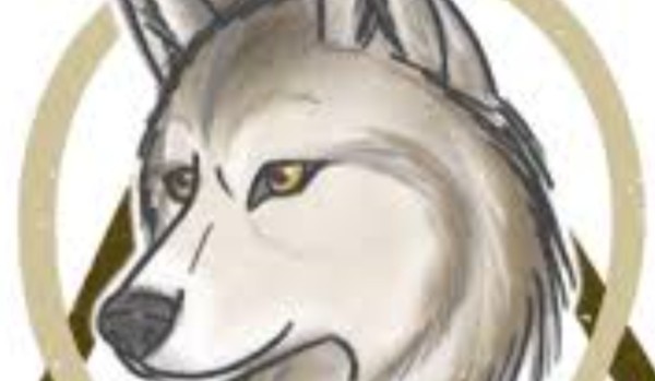 Zgadnę czy jesteś therianem