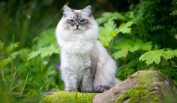 Nie Chce mi się pisać