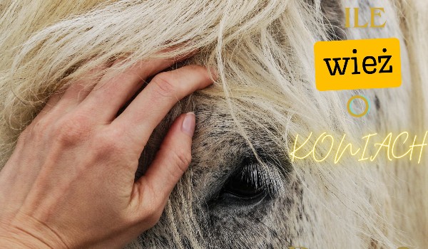 Ile wież o koniach part 3