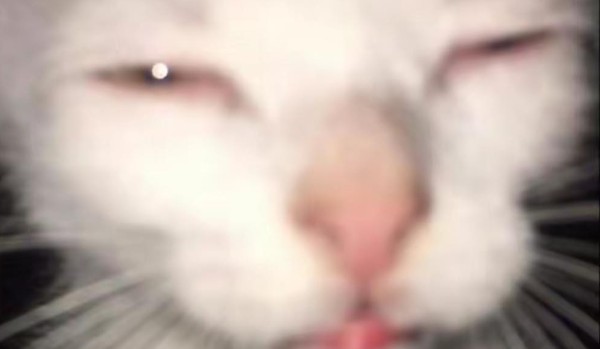 Jak dobrze znasz jagódke ( mnie )