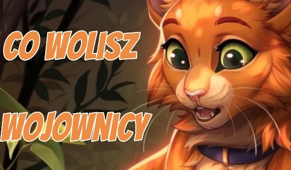 Wojownicy co byś wolał