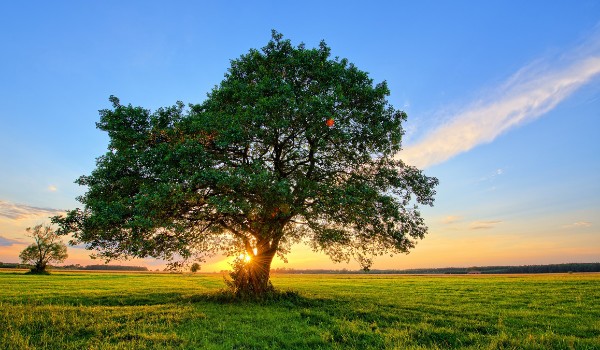 Bezsensowne opowiadanie #4