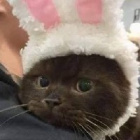 Lila_UwU