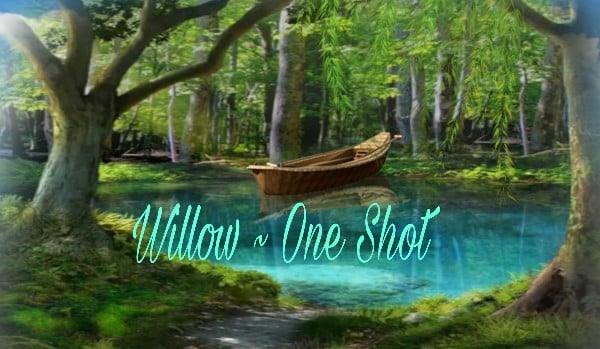 Willow ~ One Shot