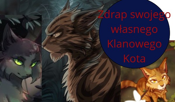 Zdrap swojego własnego klanowego kota