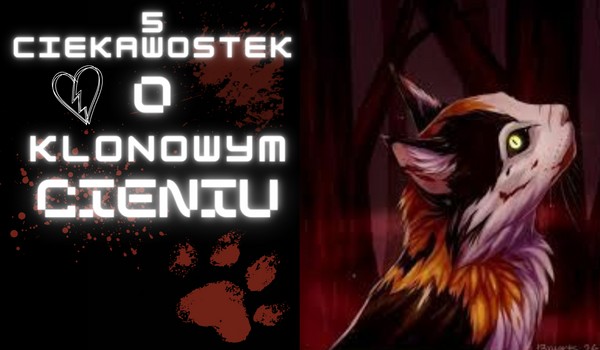 5 Ciekawostek o Klonowym Cieniu