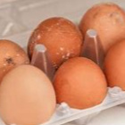 twojastarazabijakomara100