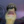 IDEK2137XD